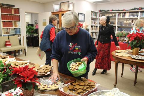 Article Image Alt Text