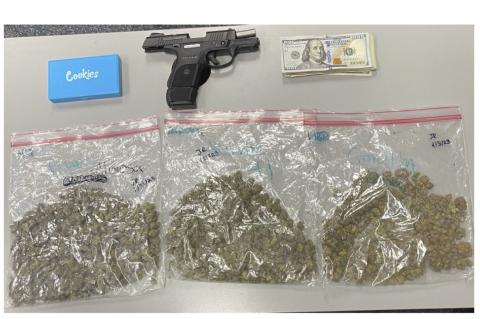 Article Image Alt Text