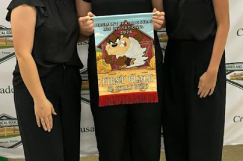 Article Image Alt Text