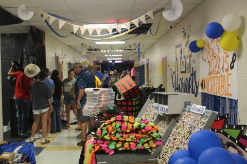 Article Image Alt Text