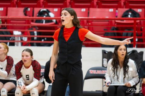 Article Image Alt Text