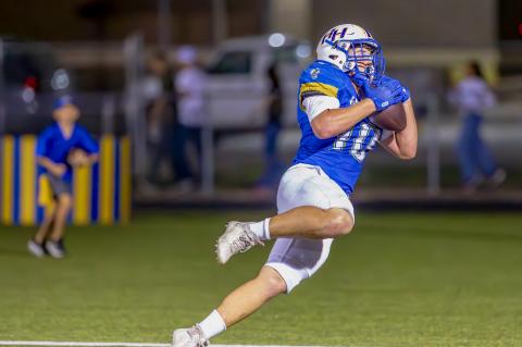 Article Image Alt Text