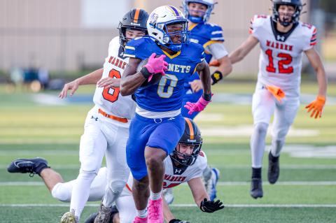 Article Image Alt Text