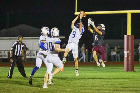 Article Image Alt Text