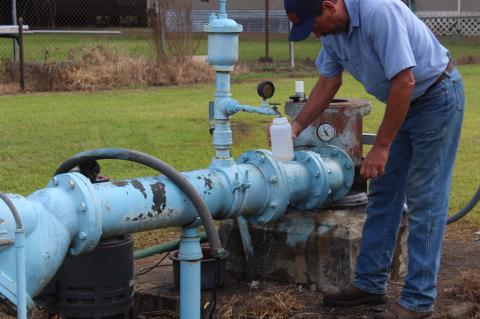 Article Image Alt Text