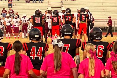 Article Image Alt Text