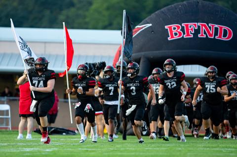 Article Image Alt Text