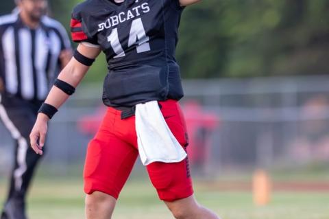 Article Image Alt Text