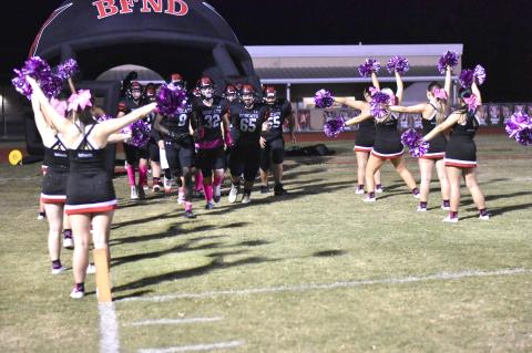 Article Image Alt Text