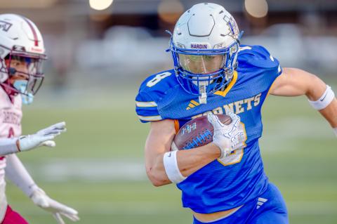 Article Image Alt Text