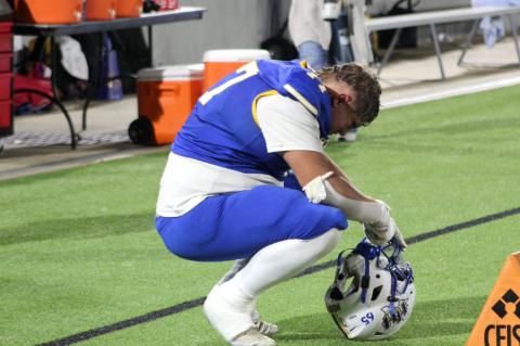 Article Image Alt Text