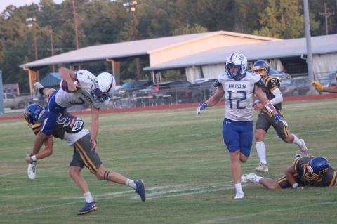 Article Image Alt Text