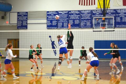 Article Image Alt Text