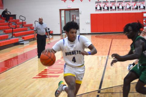 Article Image Alt Text