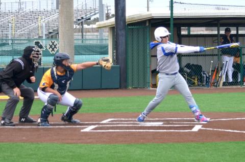 Article Image Alt Text