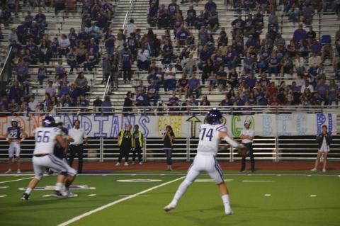 Article Image Alt Text