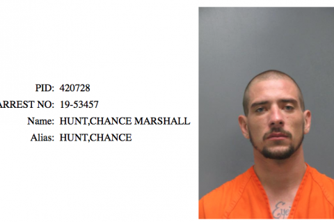 Article Image Alt Text