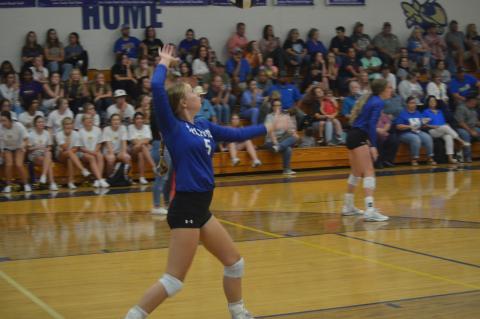 Article Image Alt Text