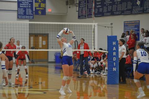 Article Image Alt Text