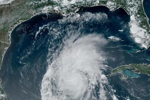 Article Image Alt Text