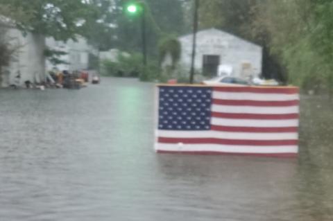 Article Image Alt Text