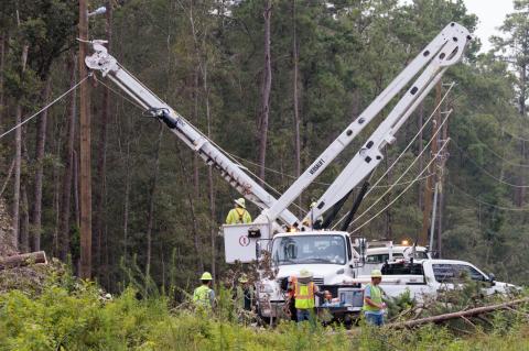 Article Image Alt Text