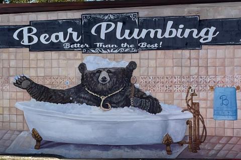 Article Image Alt Text