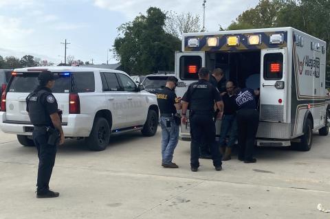 Article Image Alt Text