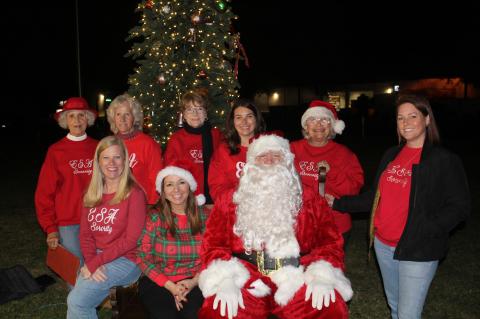 Article Image Alt Text