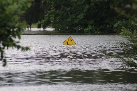 Article Image Alt Text