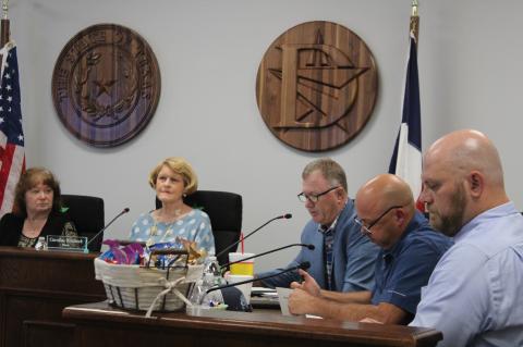 Article Image Alt Text