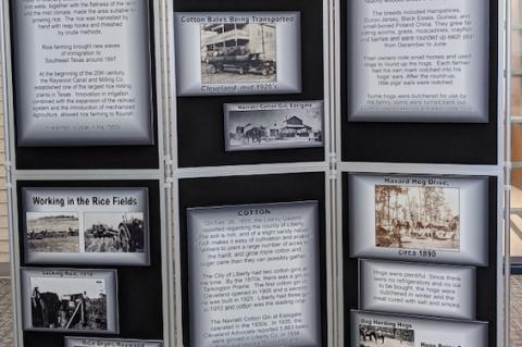 Article Image Alt Text