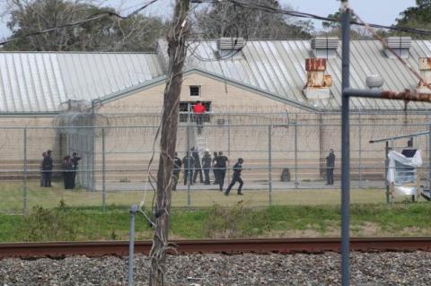 Article Image Alt Text