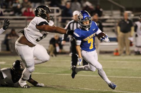 Article Image Alt Text