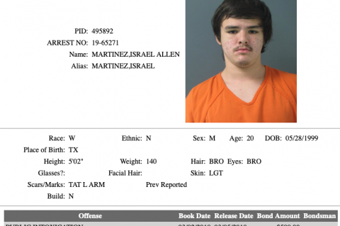 Article Image Alt Text