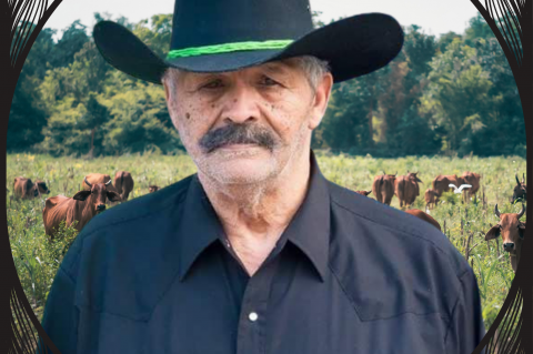 Article Image Alt Text