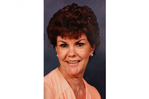 Article Image Alt Text