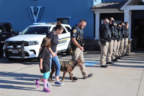 Article Image Alt Text