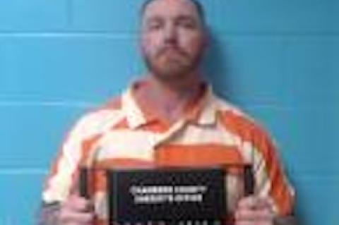 Article Image Alt Text