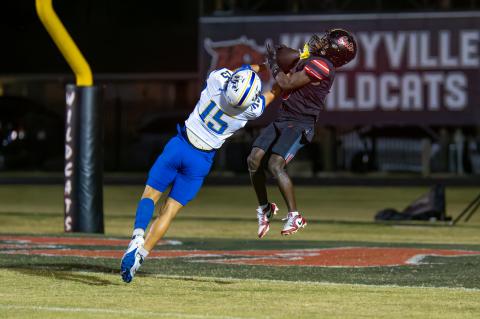 Article Image Alt Text