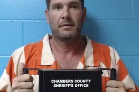 Article Image Alt Text