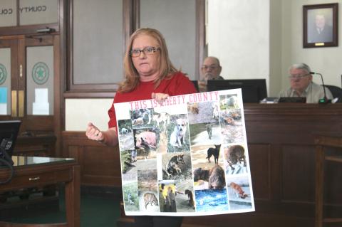 Article Image Alt Text