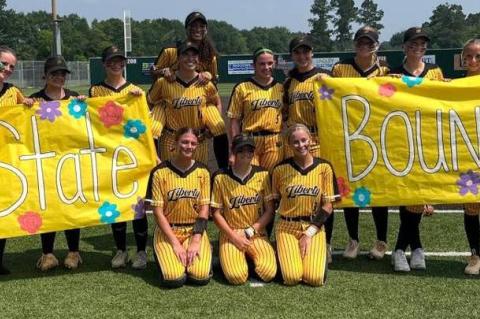 Article Image Alt Text