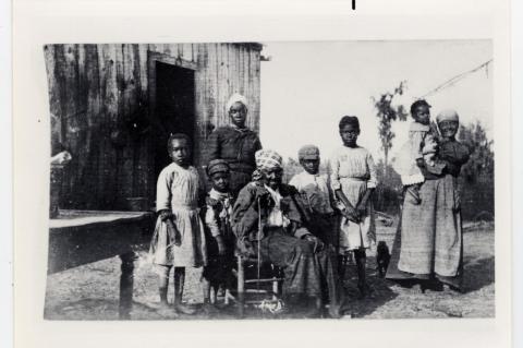 Article Image Alt Text