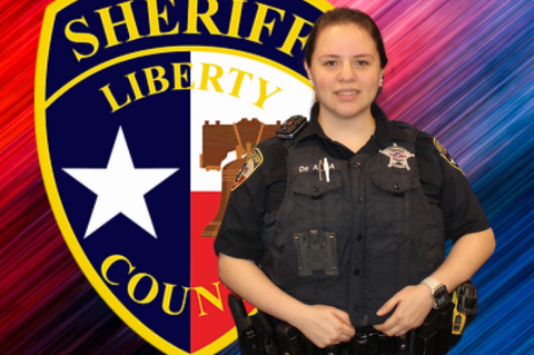 Article Image Alt Text