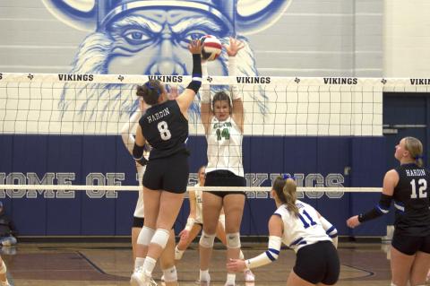 Article Image Alt Text