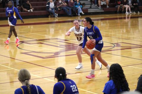 Article Image Alt Text