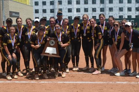 Article Image Alt Text