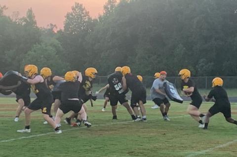 Article Image Alt Text