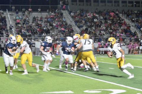 Article Image Alt Text